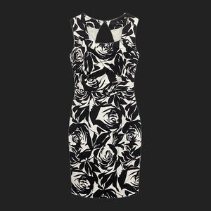 White House Black Market Rose Dress